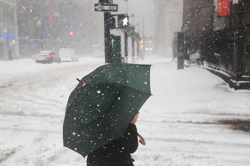 Snowstorm : 2021 : New York : Personal Photo Projects :  Richard Moore Photography : Photographer : 